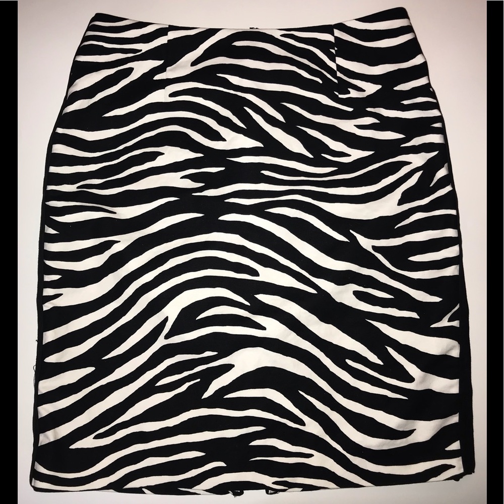 Size 6 Skirt Zebra
